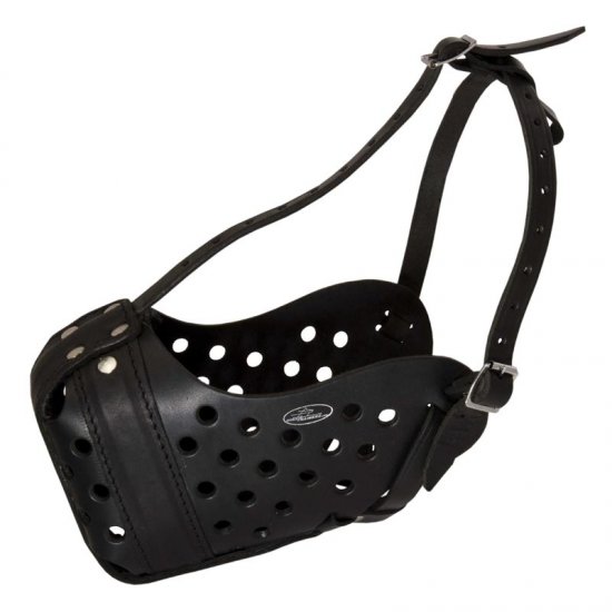 Leather dog muzzle australia best sale